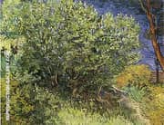 Lilac Bush 1890 By Vincent van Gogh