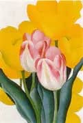 Pink and Yellow Tulips 1925 By Georgia O'Keeffe