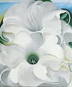 Bella Donna 1939 By Georgia O'Keeffe