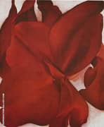 Red Cannas 1927 By Georgia O'Keeffe