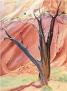 Gerald's Tree 1937 By Georgia O'Keeffe