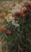 Clump of Chrysanthemums Garden at Petit Gennevilliers 1893 By Gustave Caillebotte