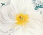 White Flower 1929 By Georgia O'Keeffe
