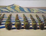 Orange Grove By Wayne Thiebaud
