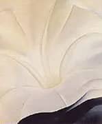 Black Petunia and White Morning Glory 1926 3 By Georgia O'Keeffe