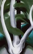 Birch and Pine Tree 1925 No 1 By Georgia O'Keeffe