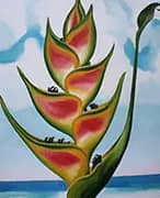Heliconia 1939 By Georgia O'Keeffe
