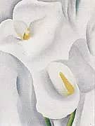 Calla Lilies 1930 712 By Georgia O'Keeffe