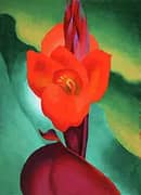 Cannas 1919 By Georgia O'Keeffe