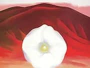 Red Hills and White Flower 1937 By Georgia O'Keeffe