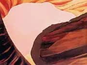 On The River 1965 1 By Georgia O'Keeffe