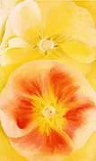 Pink and Yellow Hollyhocks 1952 By Georgia O'Keeffe
