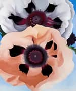 Poppies 1950 By Georgia O'Keeffe