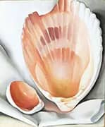 Two Pink Shells 1937 By Georgia O'Keeffe