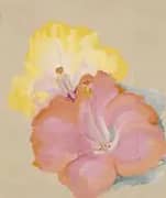 Untitled Hibiscus 1939 By Georgia O'Keeffe