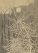 Marine La Prele By Leon Spilliaert