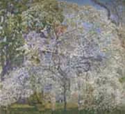 Spring The Dogwood Tree By Childe Hassam