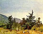 Wood Land Combermere By A J Casson