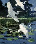 Herons and Lilies 1934 By Frank Weston Benson