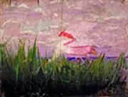 Roseate Spoonbill c 1905 By Abbott H Thayer