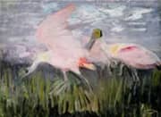 Roseate Spoonbills c 1905 By Abbott H Thayer