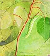 Sphinx Caterpillar1 By Abbott H Thayer