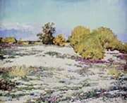 Monterey Desert Verbena Palm Springs 1926 By Alson Skinner Clark