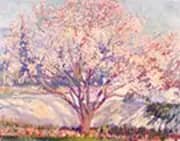 Almond Tree in Bloom By Alson Skinner Clark