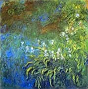 Irises 1917_833 By Claude Monet