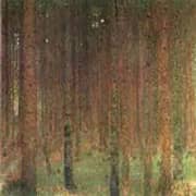 Pine Forest II 1901 By Gustav Klimt