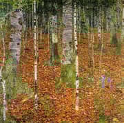 Birch Wood 1903 By Gustav Klimt