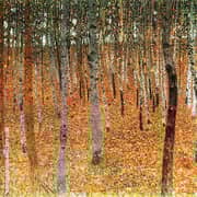 Birch Forest 1902 By Gustav Klimt