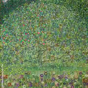 Apple Tree 1 c1912 By Gustav Klimt