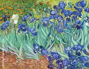 Irises 1889 By Vincent van Gogh