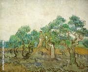 Women Picking Olives 1889 By Vincent van Gogh
