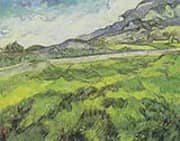 Green Wheat Field 1889 By Vincent van Gogh
