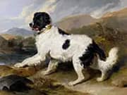 Lion a Newfoundland Dog 1824 By Edwin Henry Landseer
