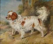 Mr Plumbers Dog 1819 By Edwin Henry Landseer