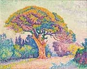 The Pine Tree at Saint Tropez 1909 By Paul Signac
