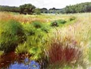 Marshland Medfield 1890 By Dennis Miller Bunker