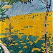 Dandelion Meadow 1903 By Cuno Amiet
