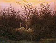 Swans Among The Reeds at The First Morgenro By Caspar David Friedrich