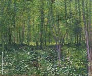 Trees and Undergrowth Summer 1887 By Vincent van Gogh