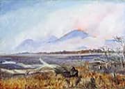 A Bush Fire at Sunset Queensland 1880 By Marianne North