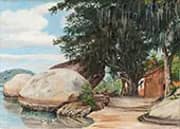 Boulders Fishermans Cottage and Tree Hung with Air Plant at Parquita Brazil 1880 By Marianne North