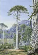 Puzzle Monkey Trees and Guanacos Chili By Marianne North