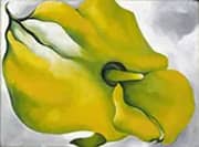 Yellow Calla 1926 By Georgia O'Keeffe