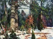 Forest Quiet By John F Carlson