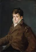 Portrait of a Young Man in Brown By Francisco Goya