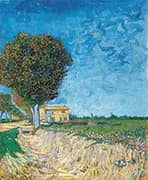 A Lane near Arles 1888 By Vincent van Gogh